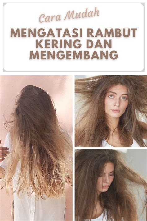 Cara Mengatasi Rambut Kering Dan Mengembang Ternyata Mudah Loh Rambut