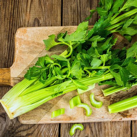 Sedano ricette e tipicità da provare La Cucina Italiana