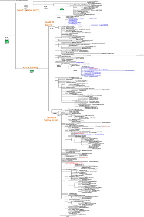 Phylogenetic Tree Of Ha Nucleotide Sequences Of Ah1n1pdm09 Viruses Download Scientific