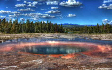 Yellowstone Opal Pool Yellowstone National Park Yellowstone