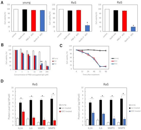 IJMS Free Full Text New Senolysis Approach Via AntibodyDrug