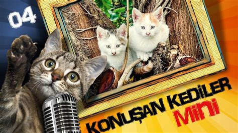 Konu An Kediler Mini En Komik Kedi Videolar Youtube