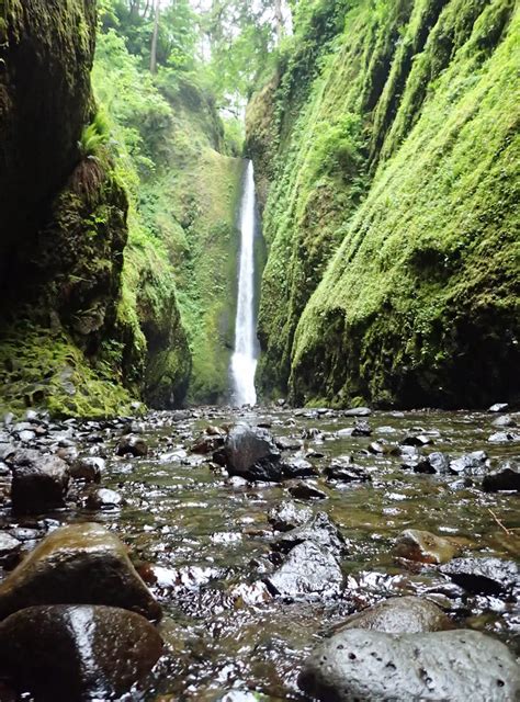 Lower Oneonta Falls Oneonta Creek Oregon