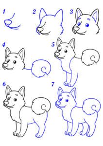 Comment Dessiner Un Husky Dessin Husky Facile Par Tapes