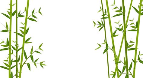 Vector illustration of green bamboo template background 538872 Vector Art at Vecteezy