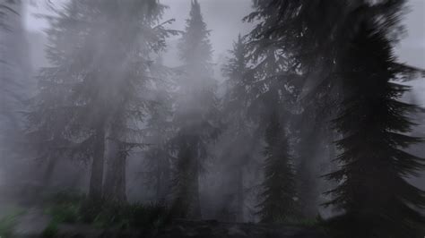 Gloomy Forest : r/SkyrimPorn