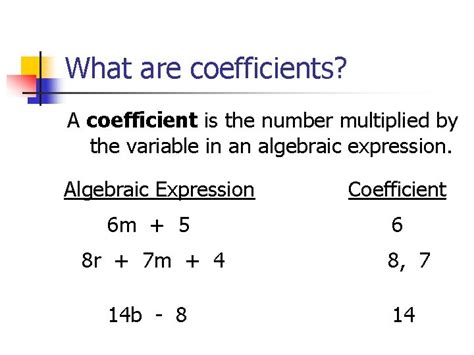 1 3 Algebraic Expressions And Terms Expressions You