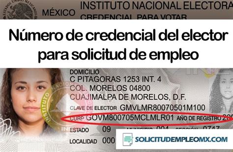 Cual Es El Numero De Credencial De Elector Para Solicitud De Empleo