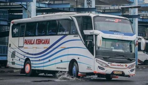 Mengenal Jalur Muria Raya Wilayah Keramat Tempat Raja Raja Bus