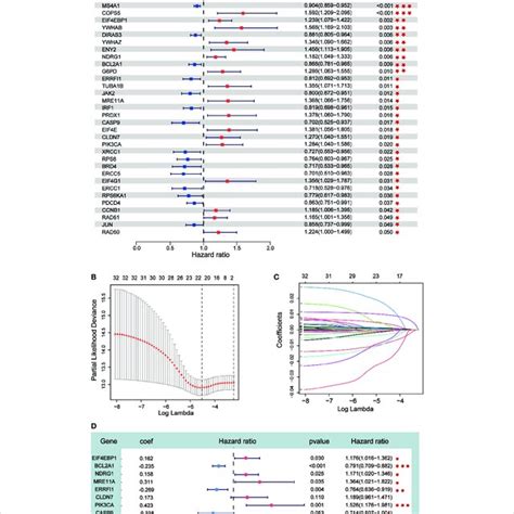 Prognostic Risk Model Construction A Univariate Cox Analysis