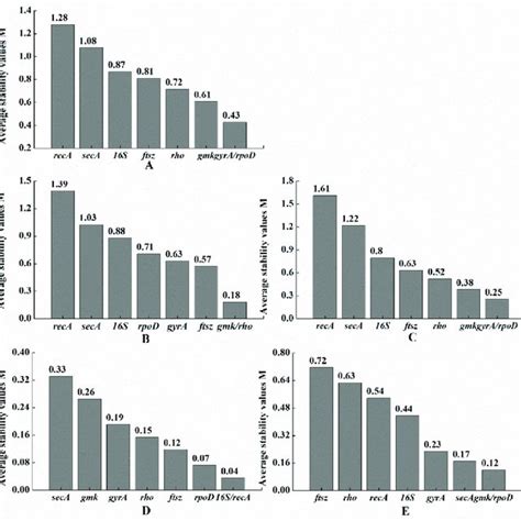 The Expression Stability Of Eight Candidate Reference Genes In All