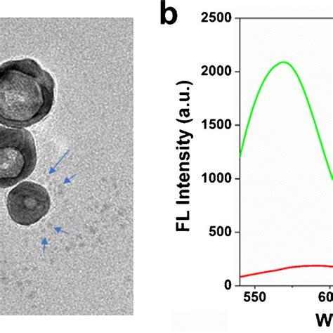 A Tem Image Of The Ag Aunps Dna Gqds Nanoprobe B Fluorescence Spectra