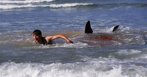 Best Shark Attack Movies That Aren’t Jaws