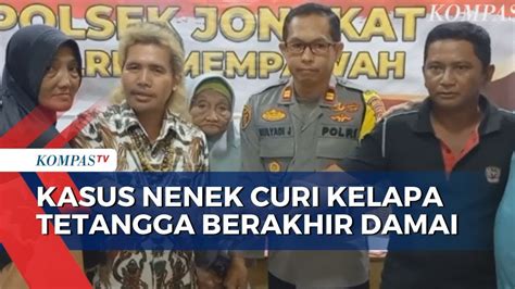 Kasus Nenek 83 Tahun Di Kalbar Yang Dilaporkan Mencuri 20 Kelapa Milik