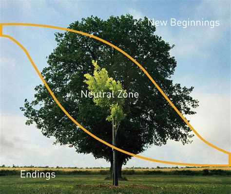 What is William Bridges' Transition Model? | William Bridges Associates