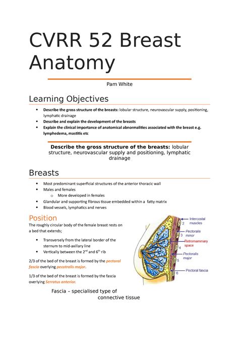 Cvrr 52 Breast Anatomy Lecture Notes 52 Cvrr 52 Breast Anatomy Pam