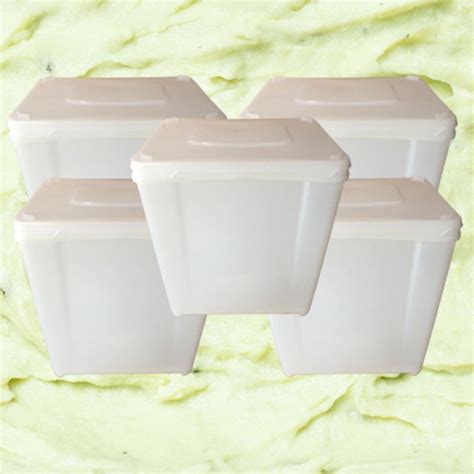Pote De Sorvete Preço - pote de sorvete 10 litros - Kit 05 Peças | Shopee Brasil