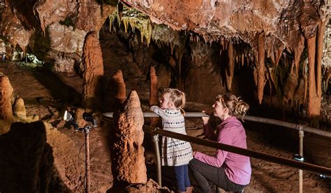 Buchan Caves Reserve