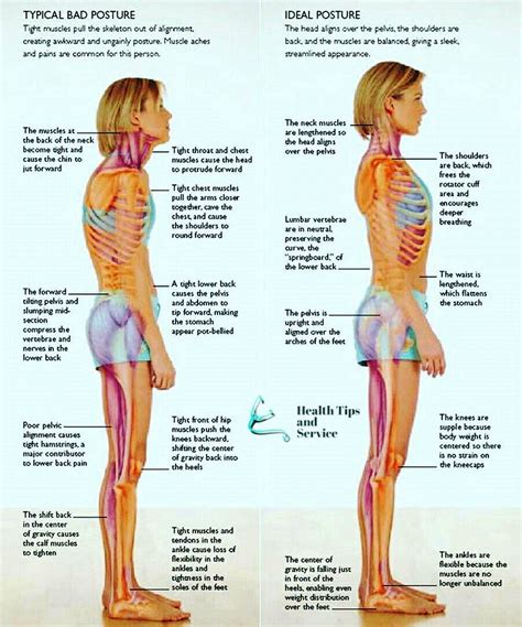 Pin On Posture