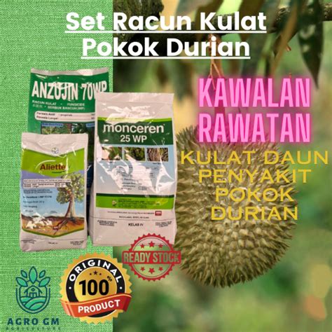 MONCEREN ANTRACOL ANZUJIN ALIETTE LINOTYL Set Racun Kulat Pokok Durian