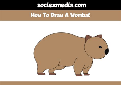 draw  wombat easy step  step digital  art tutorial