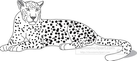 247 Black Leopard High Res Illustrations Getty Images Clip Art Library