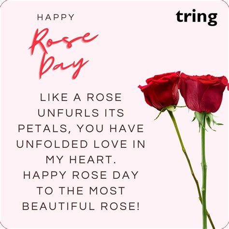 Top 40 Happy Rose Day Wishes for Girlfriend 2024