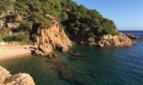 Tamariu, Spain 2024: Best Places to Visit - Tripadvisor