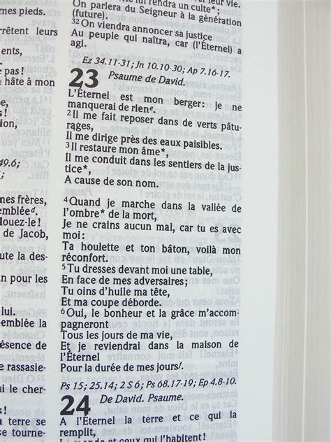 French Bible Large Print Revised Segond Colombe Burgundy