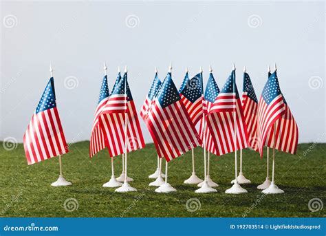 Bandeiras Americanas Estrelas E Listras Sobre Grama Verde Foto De