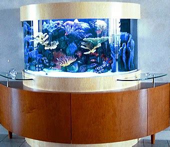 Saltwater Aquariums - The Best Information For Living Rooms Saltwater Aquarium - Multi Gallon ...