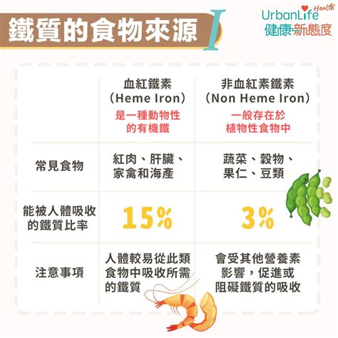 【鐵質補充】容易經痛、常手腳冰冷？ 認識6種影響鐵質吸收的營養