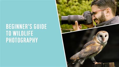 Beginners Guide To Wildlife Photography Youtube