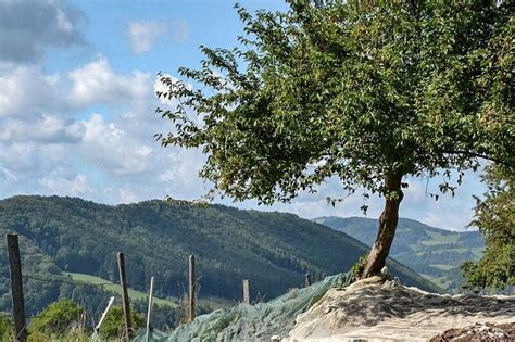 Unterwegs In Sterreich Bisher Folgen Episodenguide Seite