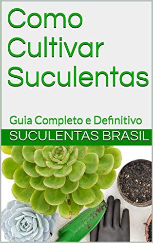 Como Cultivar Suculentas Guia Completo E Definitivo Suculentas