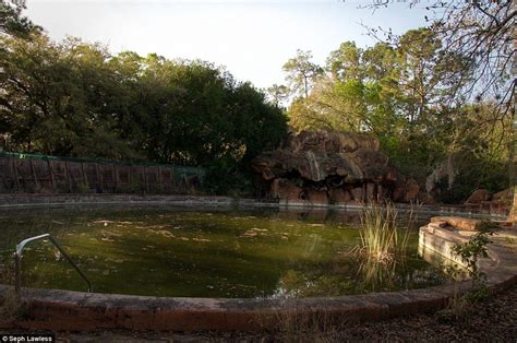 El Parque De Disney Abandonado Desde Hace 15 Años