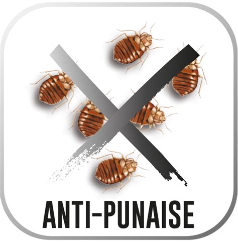 Anti Punaise Des Solutions Pour La Pr Vention Des Punaises De Lit Acm