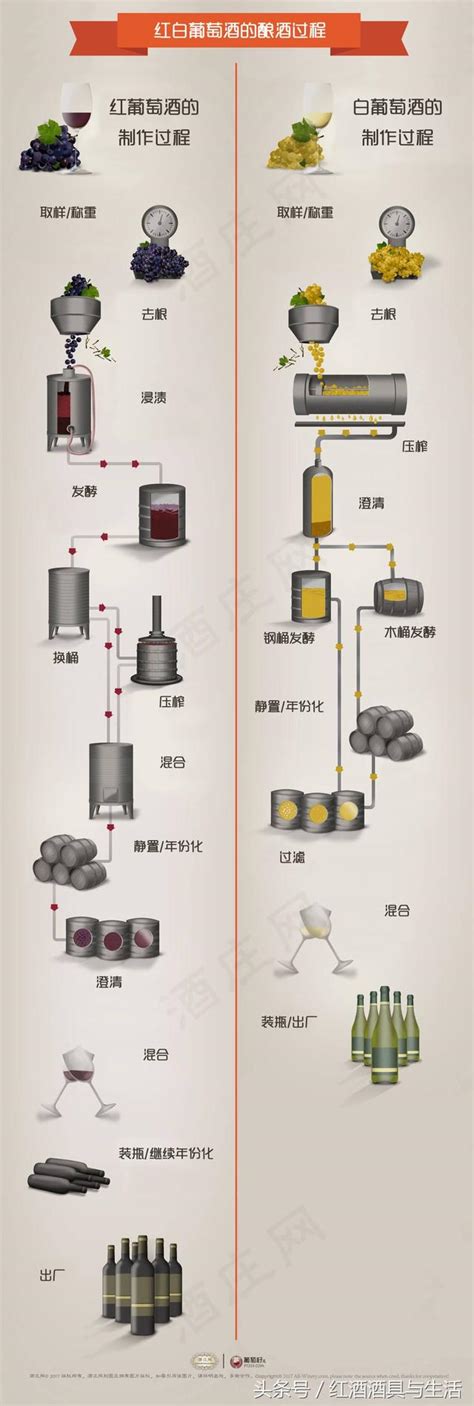 你知道這樣的葡萄酒釀製過程嗎？ 每日頭條