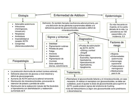 Mapa conceptual de Enfermedad de Addison Salud Resúmenes de Hot Sex