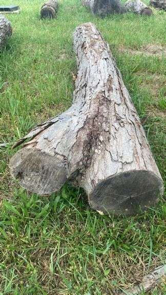 15”x126” White Oak Log Metzger Property Services Llc