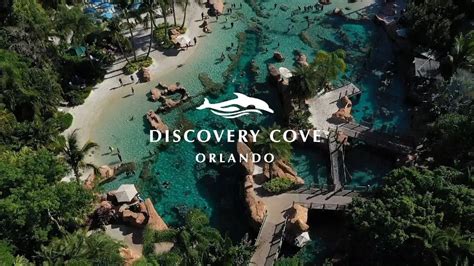 SeaWorld Orlando Tickets - Discovery Cove, Aquatica, Events