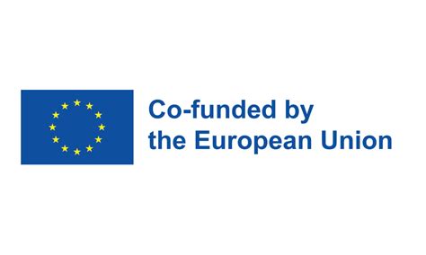 Another Erasmus Project Led By Wsb University Akademia Wsb