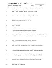 the human family tree - THE HUMAN FAMILY TREE National Geographic 2009 Directions: Name: Date ...