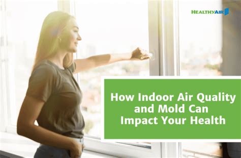 Breathing Easy How Indoor Air Quality And Mold Can Impact Your Health Healthy Air Usa