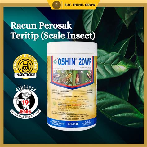 Oshin Wp G Racun Teritip Scale Insects Perosak Tanaman Systemic