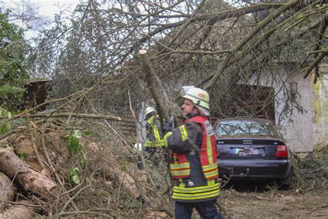 Sch Den Nach Orkan Sabine In S Chteln