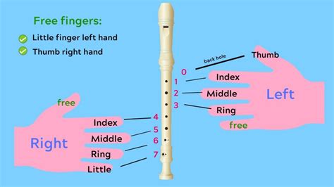 Learn How To Play A Recorder Flute At Mariaafsimkins Blog