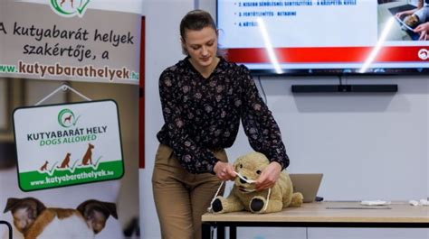 Mindenkinek legyen elérhető az állatorvos Itt a videochat gazdiknak