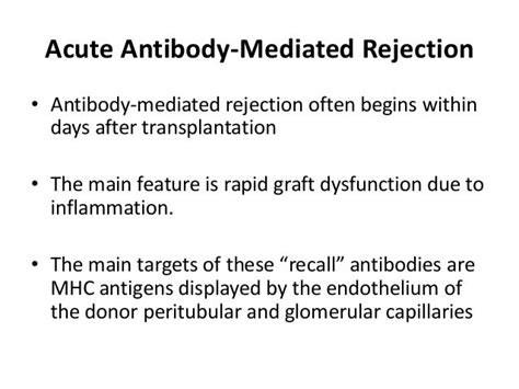 Rejection of the kidney allograft