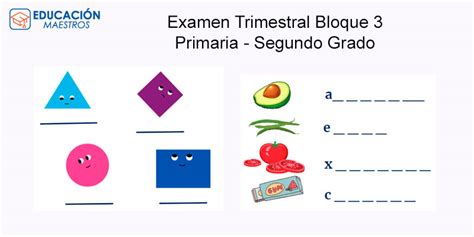 Examen Trimestral Bloque Segundo Grado